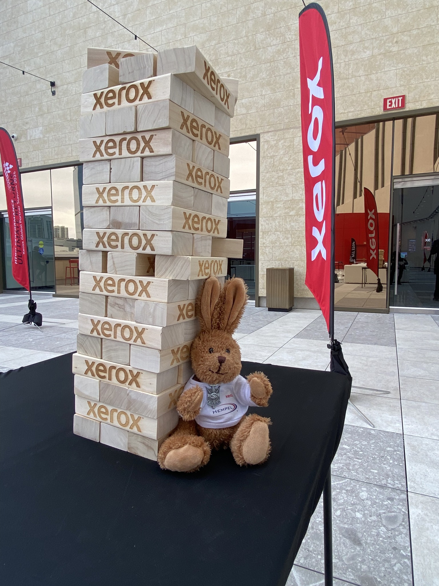 Das Maskottchen Hasi sitzt vor Xerox Bausteinen